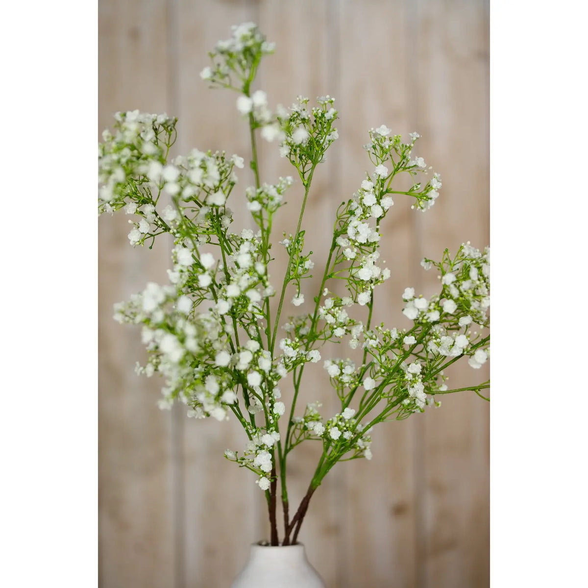 Cream Gypsophila Spray