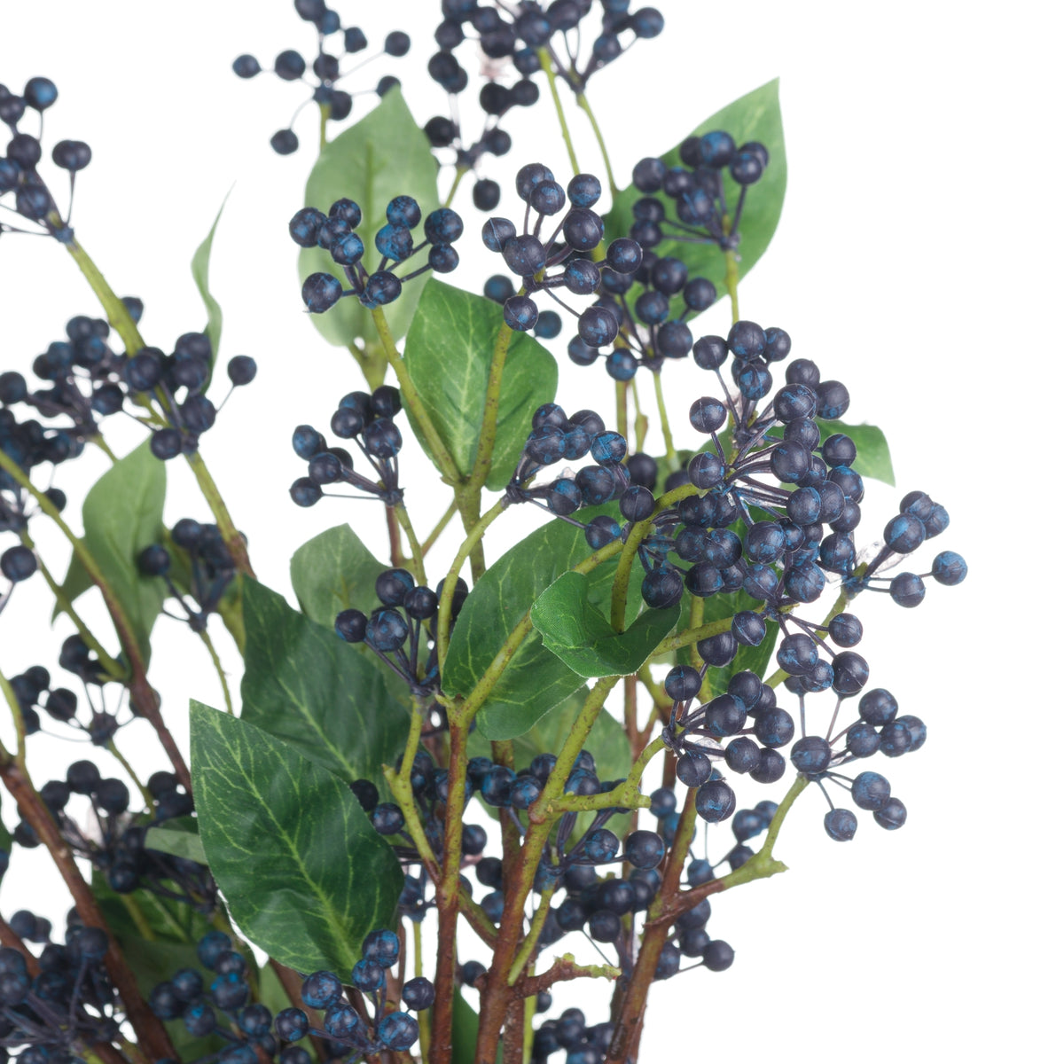 19592-c