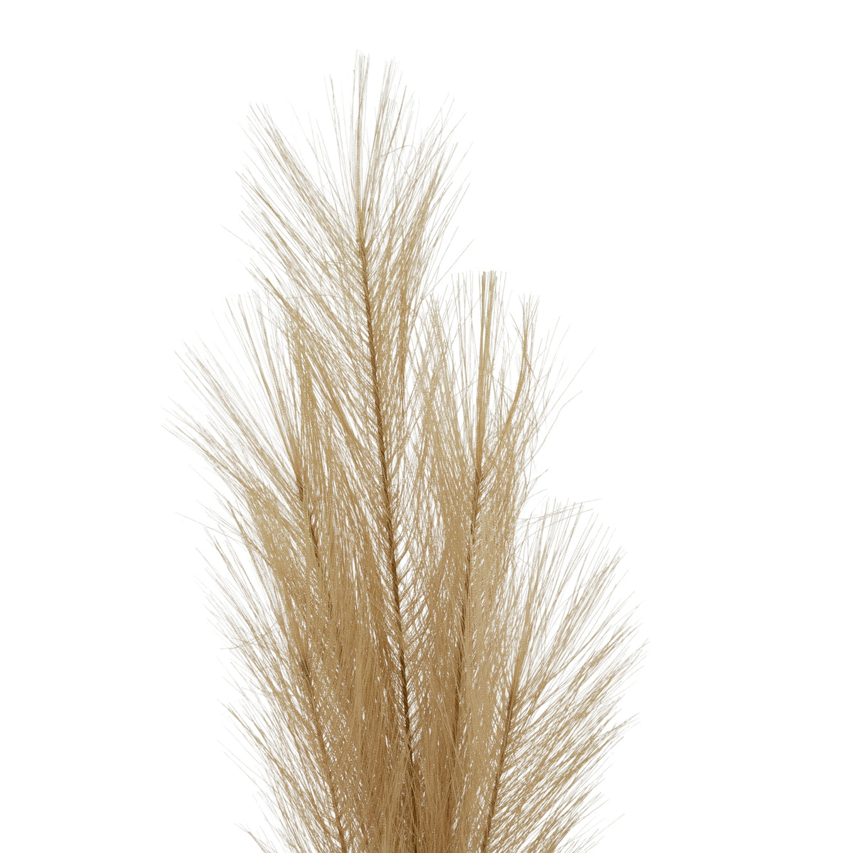 22099-a