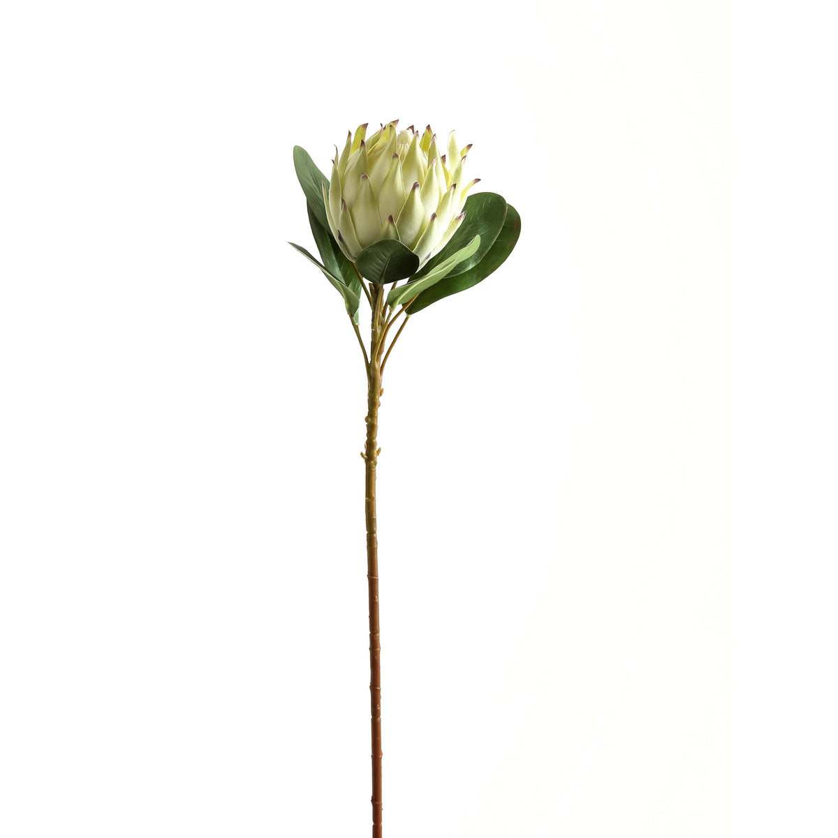 22198