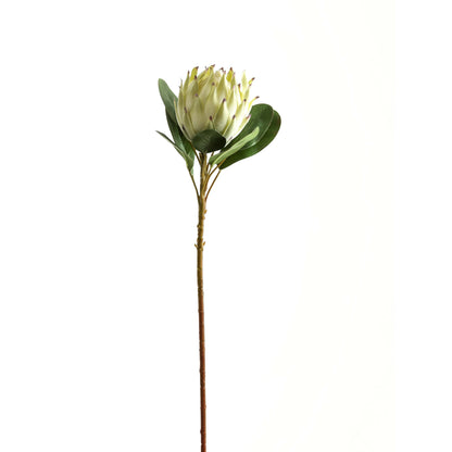 22198