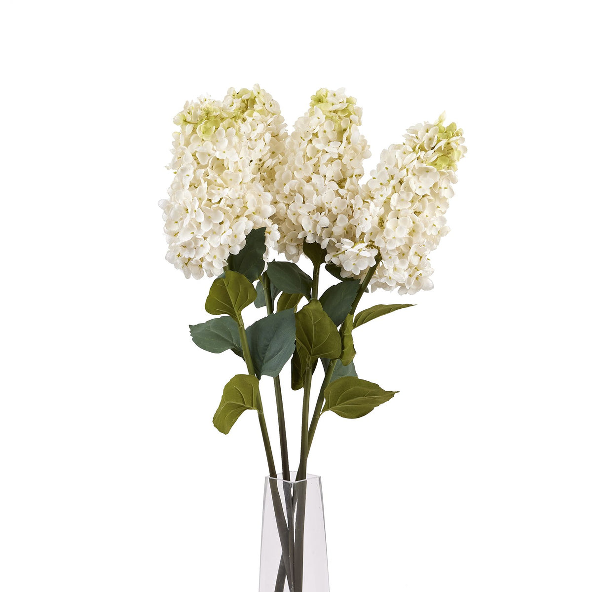 22624-d