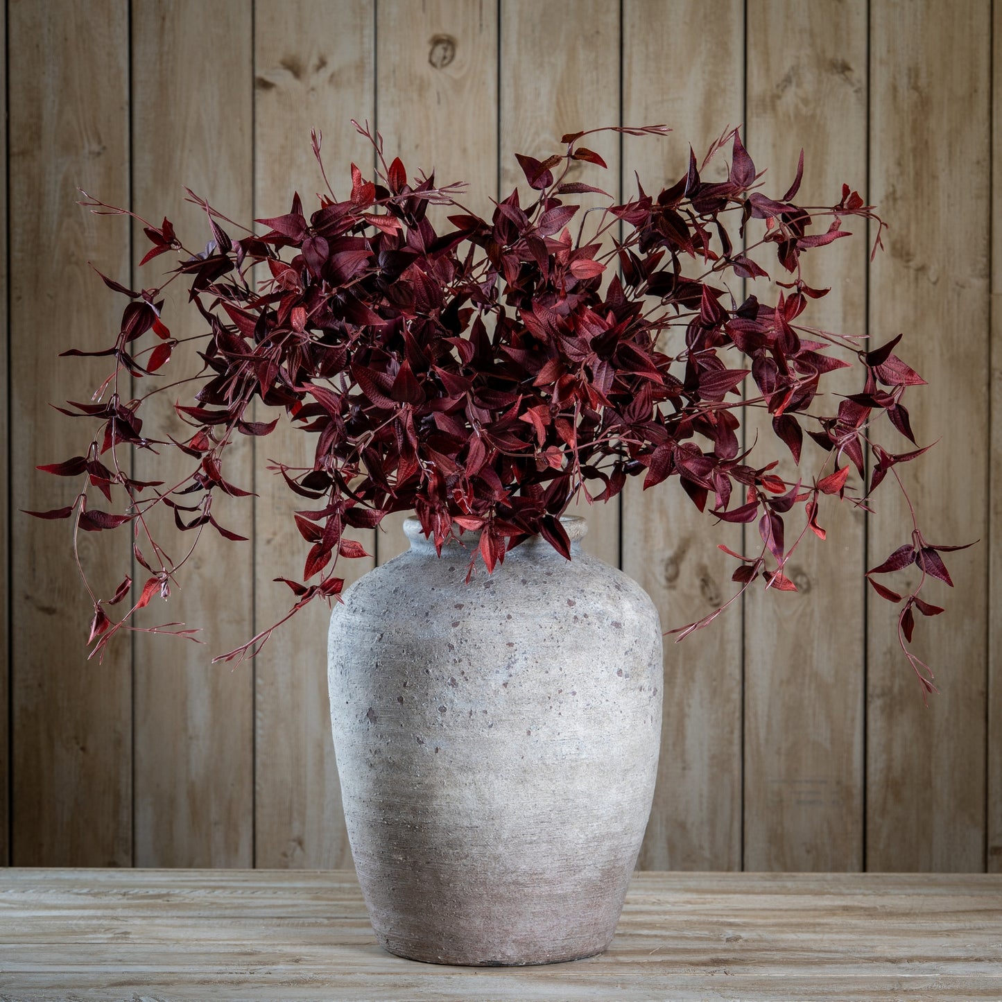 Ornamental Burgundy Leaf