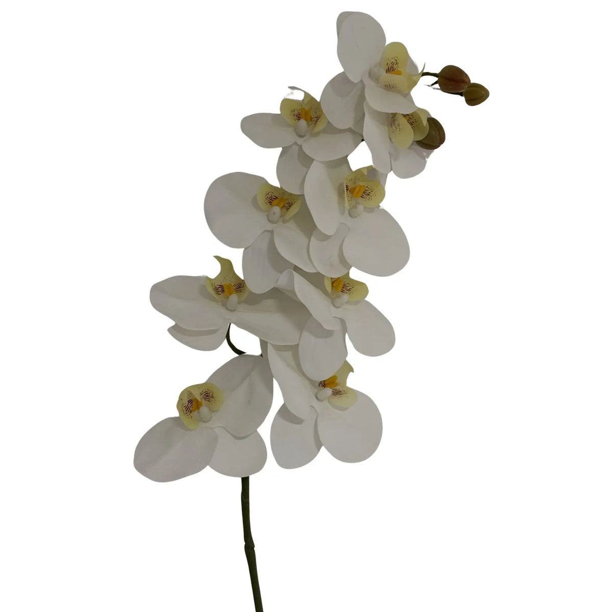23380-a