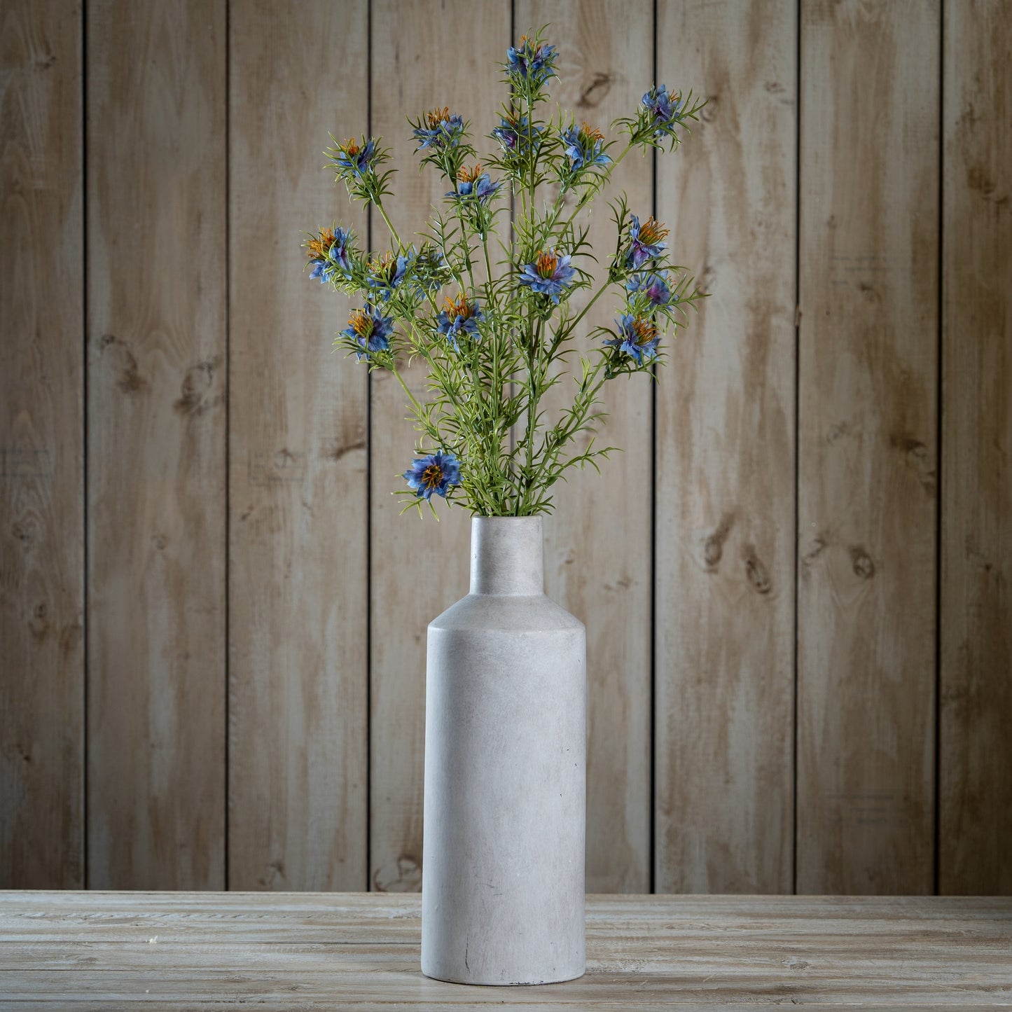 The Natural Garden Collection Purple Nigella Love In A Mist