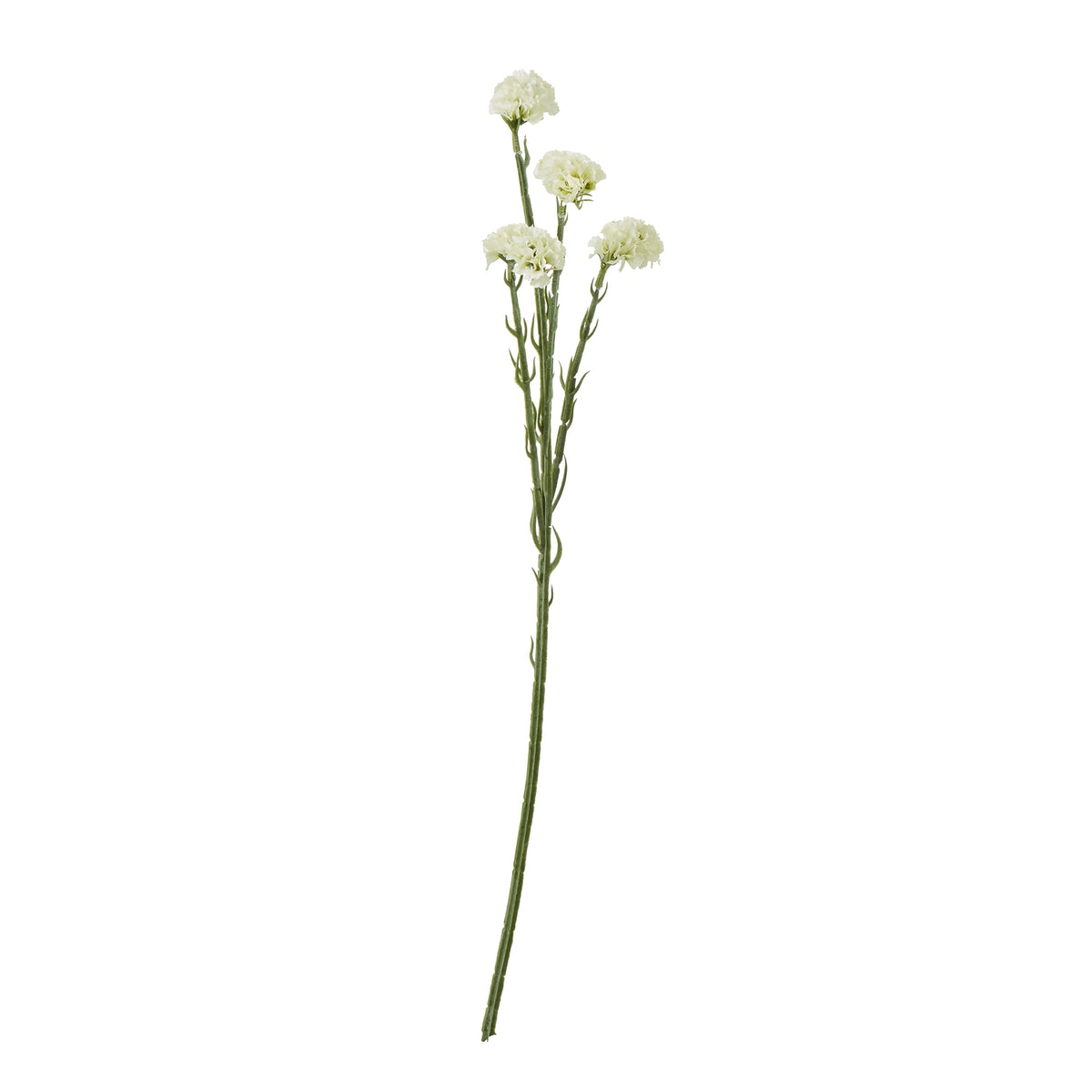 23820