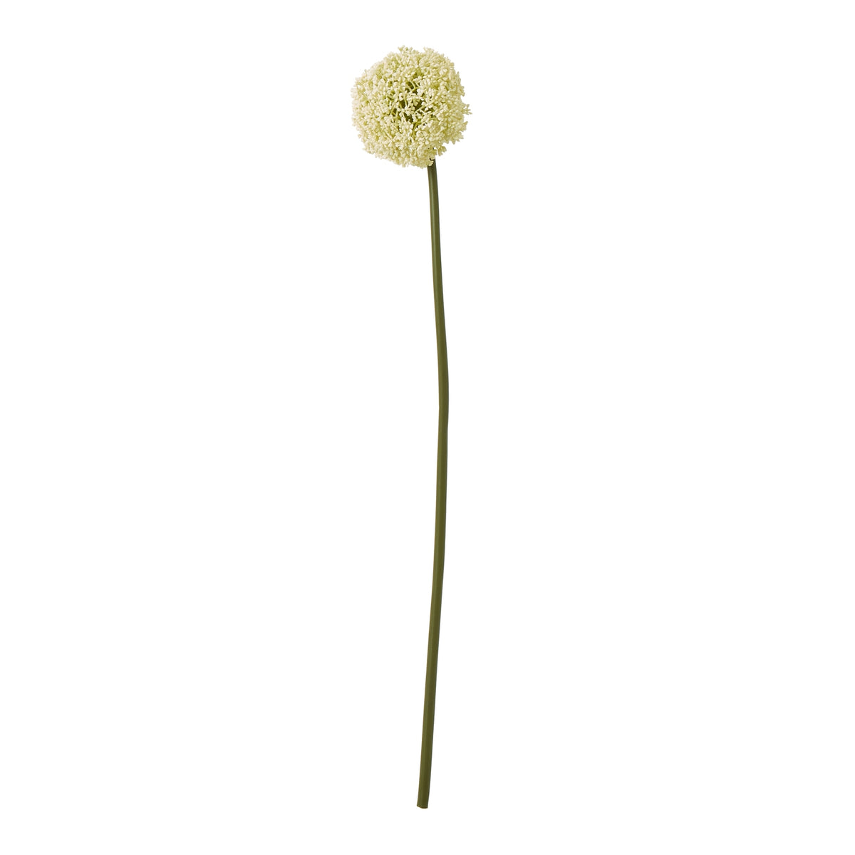 23850