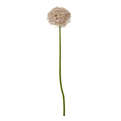 23855