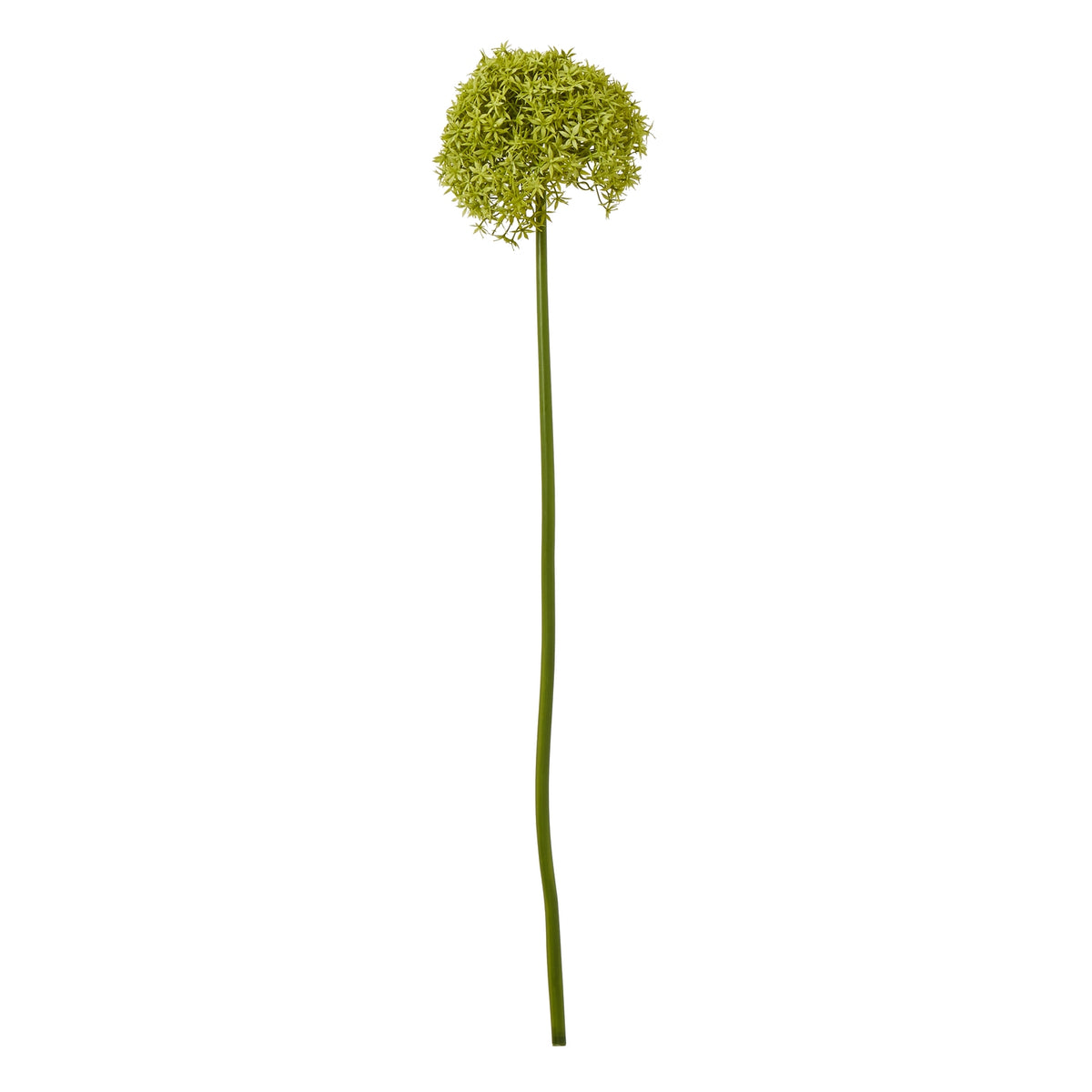 23857