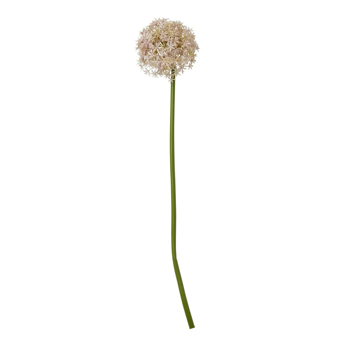 23858