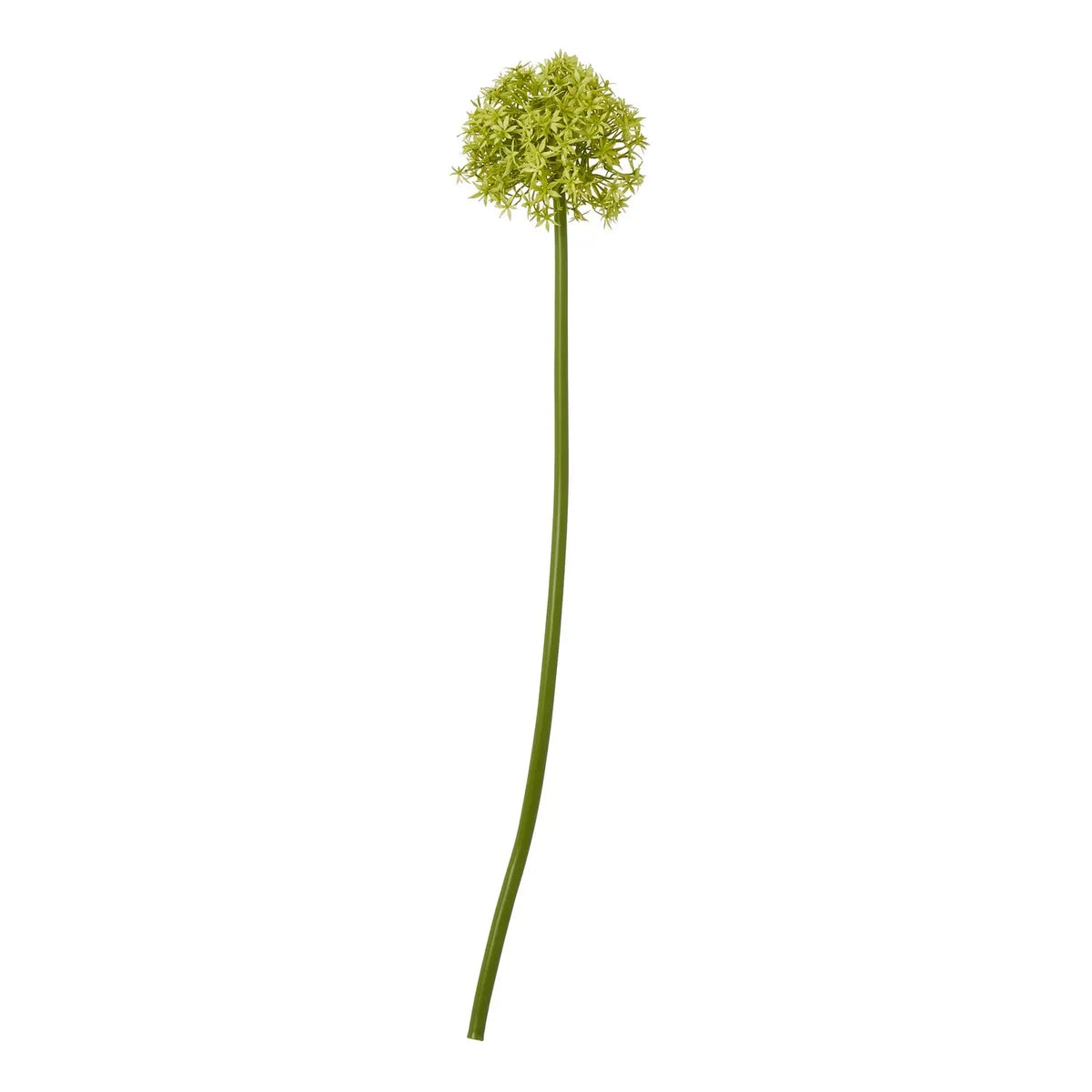 23860