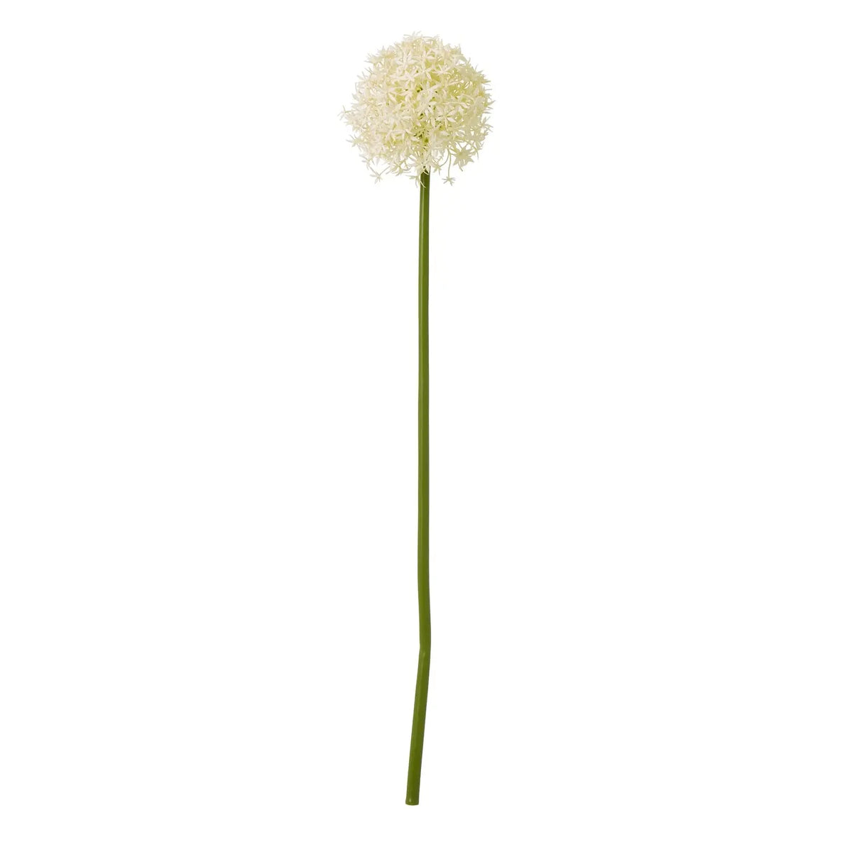 23861