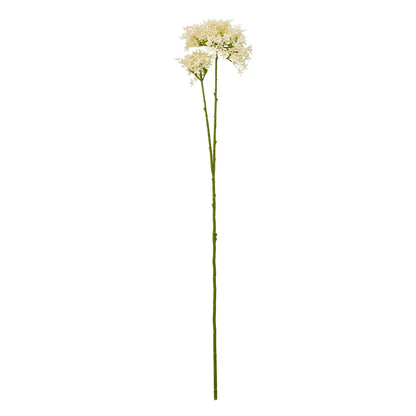 23862