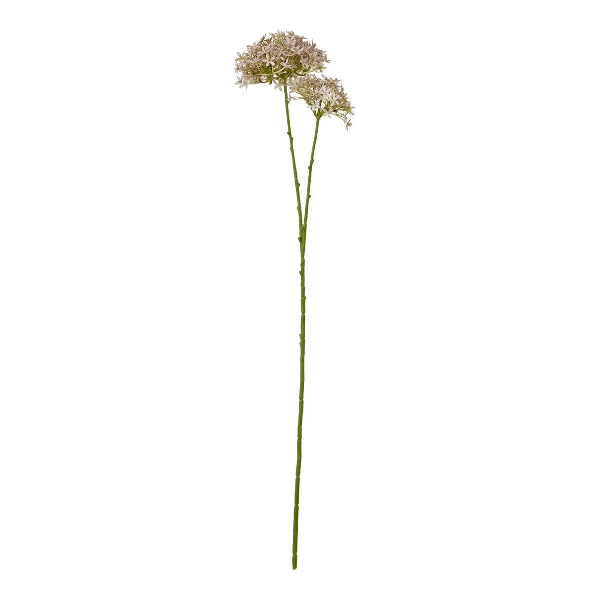 23863