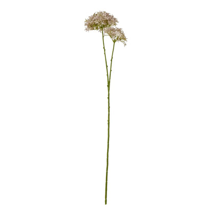 23863