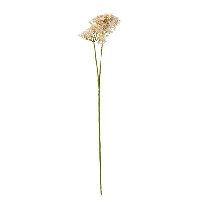 23864