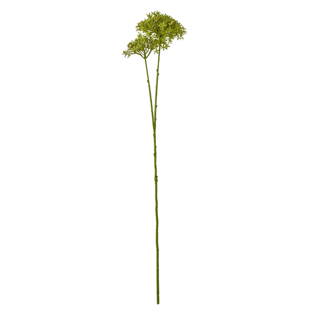 23865