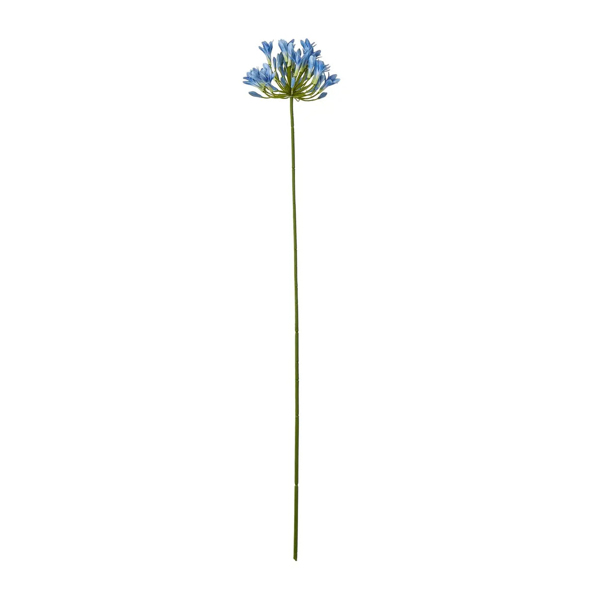 23867