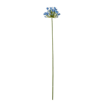 23867
