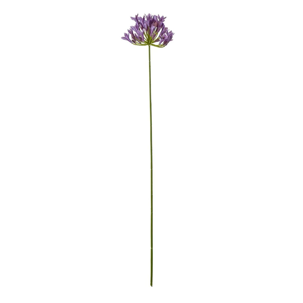 23869