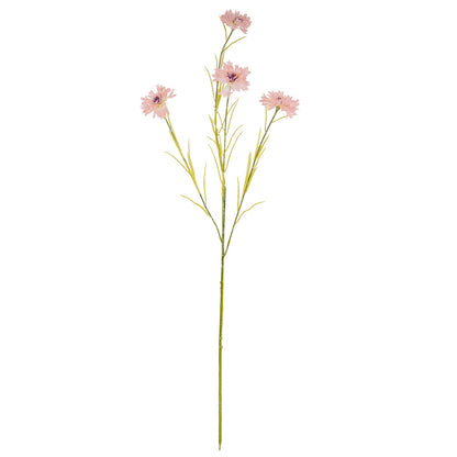 24556-a