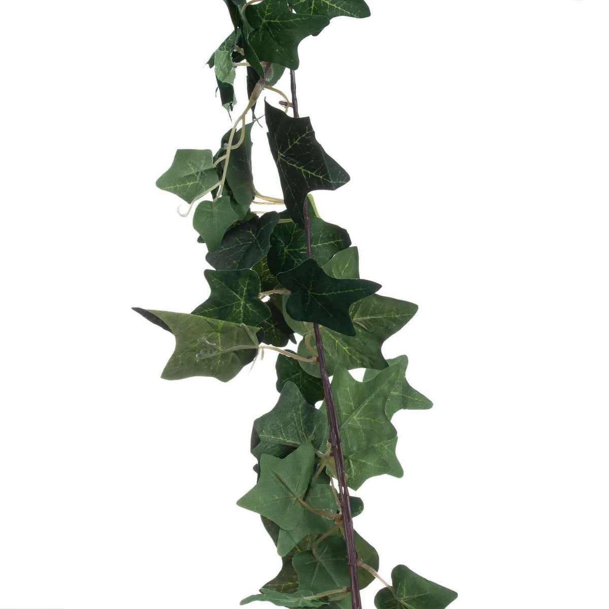 Cascading Ivy Garland with varied green leaves for natural decor and retail displays.