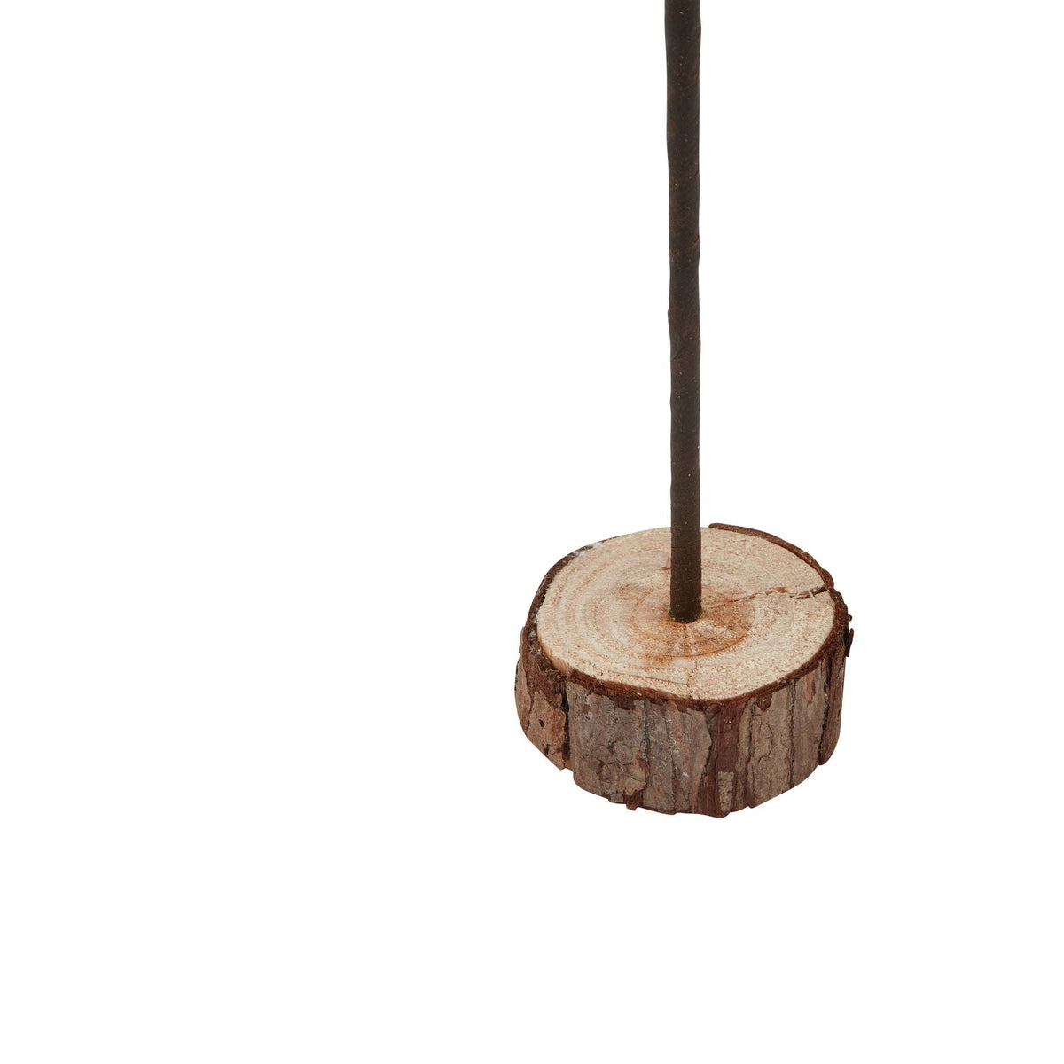 Large Snowy Spindle Tree In Wood LogSmall.