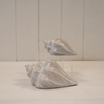 Glazed Ceramic Shell Ornament with Textured Detail