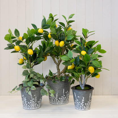 Set of Three Rustic metal planters with Meadow design