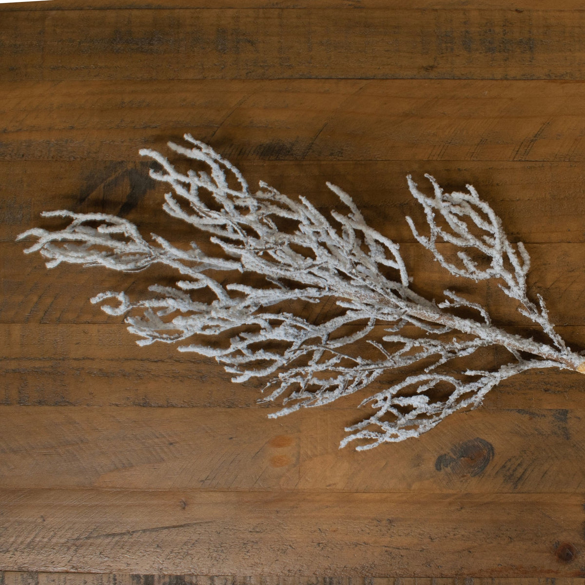Snow Covered BranchSmall.