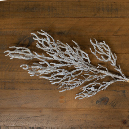 Snow Covered BranchSmall.