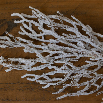 Snow Covered BranchSmall.