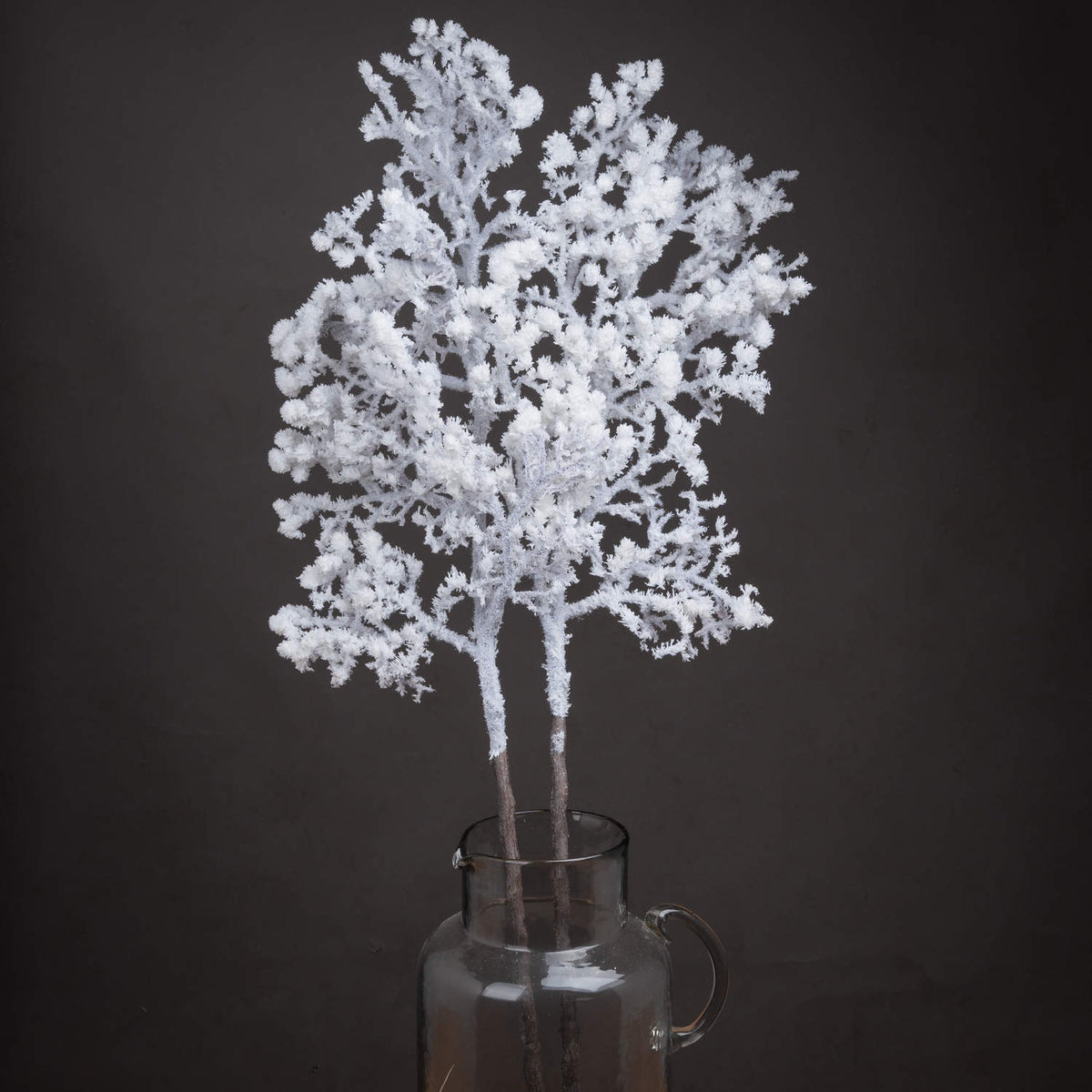 Snowy BranchSmall.