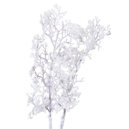 Snowy BranchSmall.