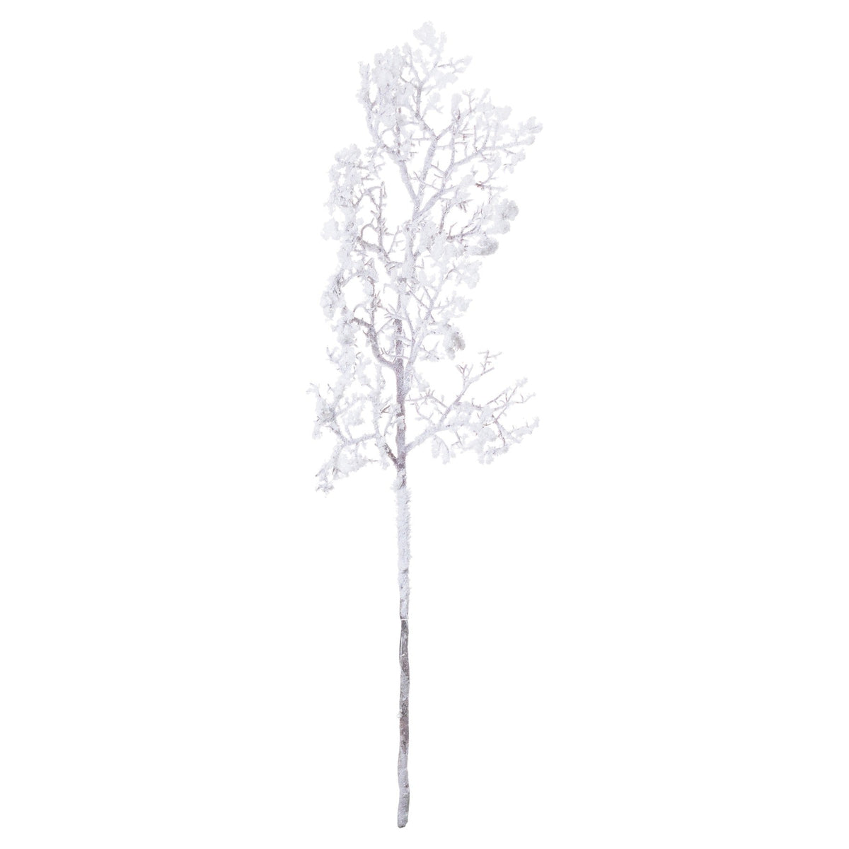 Snowy BranchSmall.